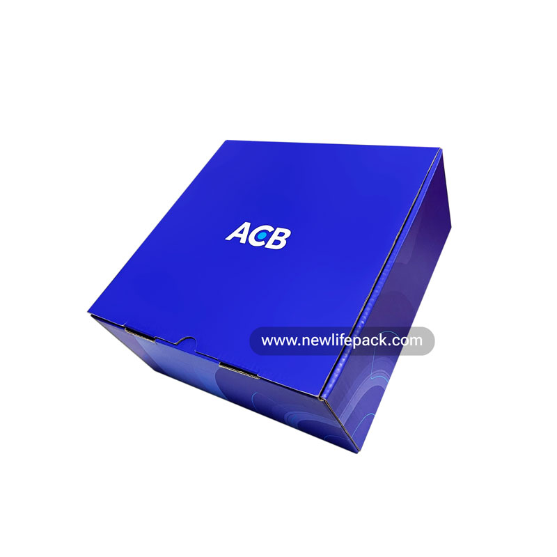 Corporate Gift Corrugated Boxes Hộp Carton Sóng Quà Tặng Doanh Nghiệp ACB