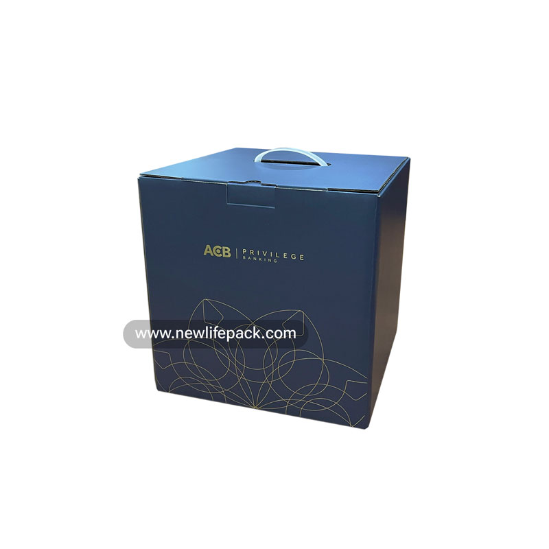 Corporate Gift Corrugated Boxes Hộp Carton Sóng Quà Tặng Doanh Nghiệp ACB