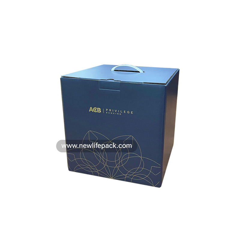 Corporate Gift Corrugated Boxes Hộp Carton Sóng Quà Tặng Doanh Nghiệp ACB