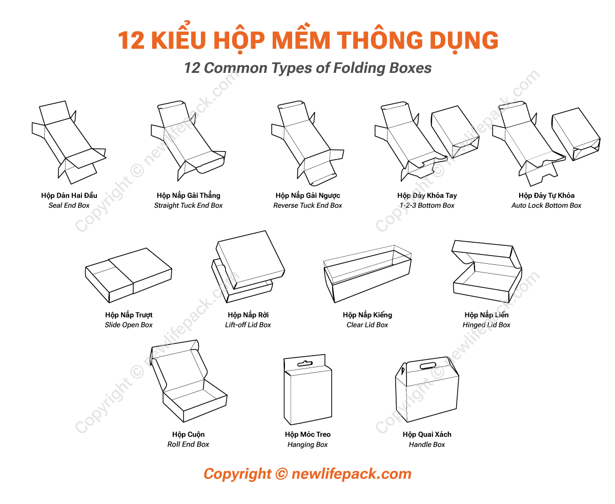 12 Common Types of Folding Boxes (English / Vietnamese)