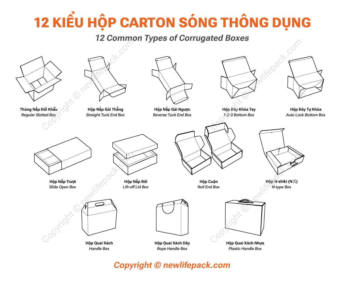 12 Common Types of Corrugated Boxes (English/ Vietnamese)