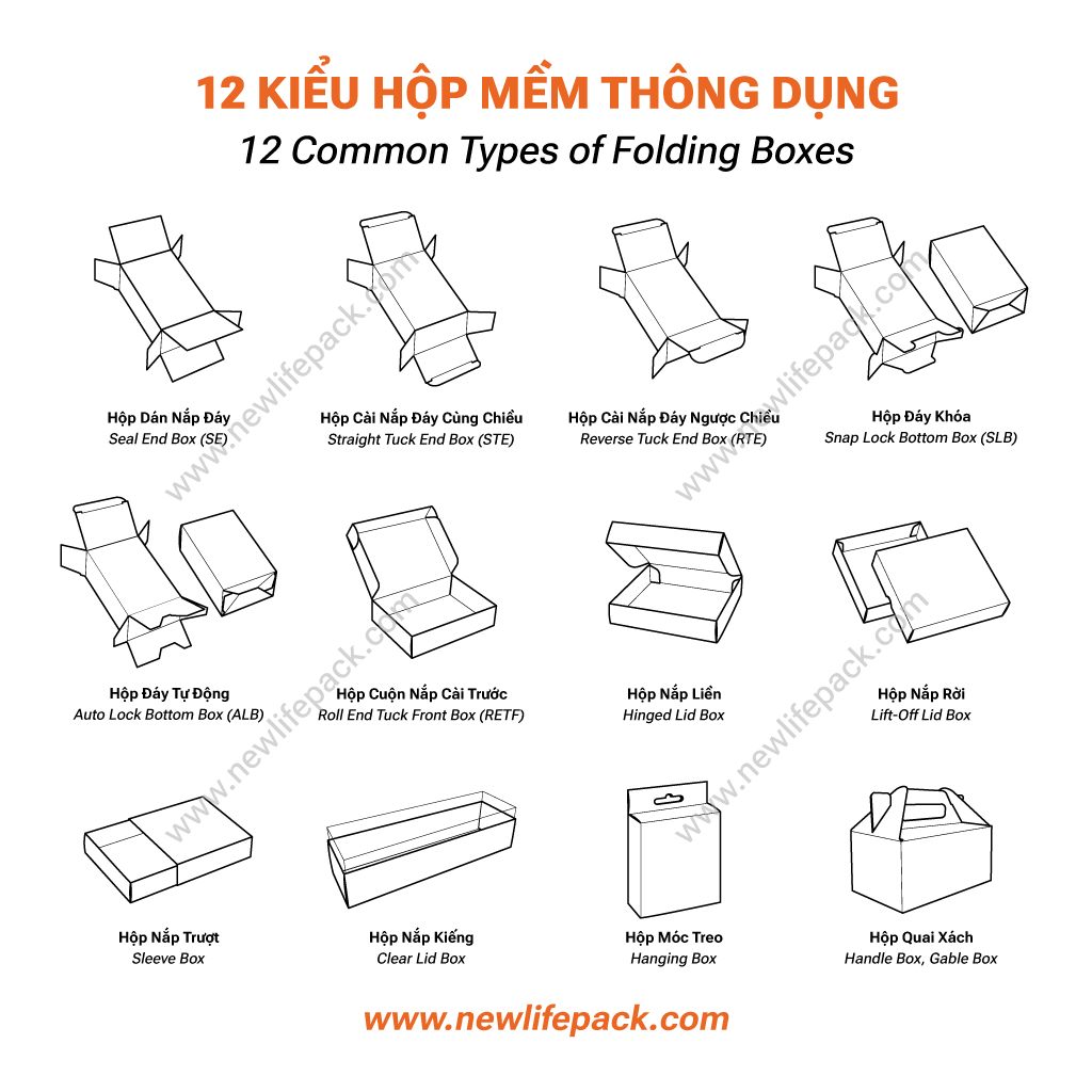 12 Common Types of Folding Boxes (English / Vietnamese)