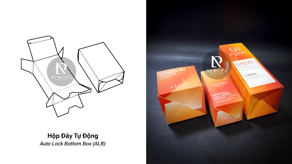 12 Common Types of Folding Boxes (English / Vietnamese)