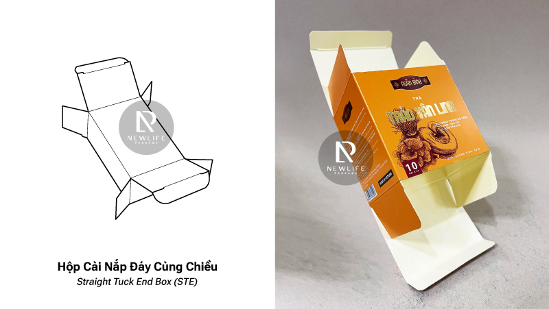 12 Common Types of Folding Boxes (English / Vietnamese)