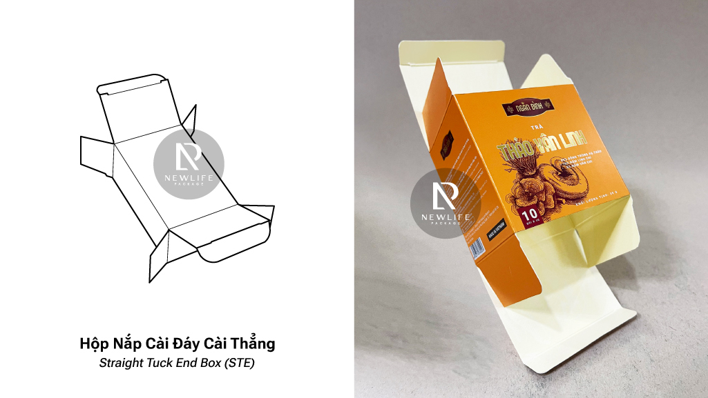 12 Common Types of Folding Boxes (English / Vietnamese)