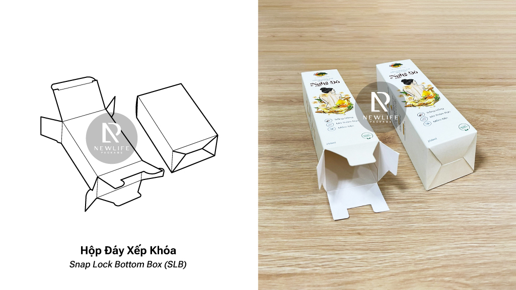 12 Common Types of Folding Boxes (English / Vietnamese)