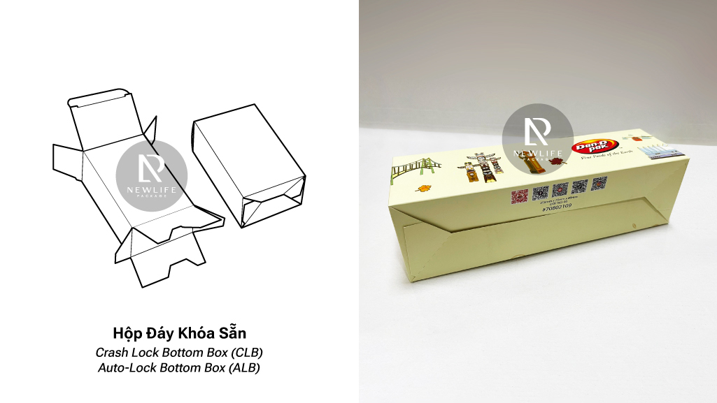 12 Common Types of Folding Boxes (English / Vietnamese)