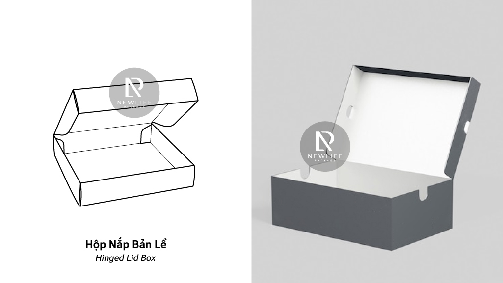 12 Common Types of Folding Boxes (English / Vietnamese)