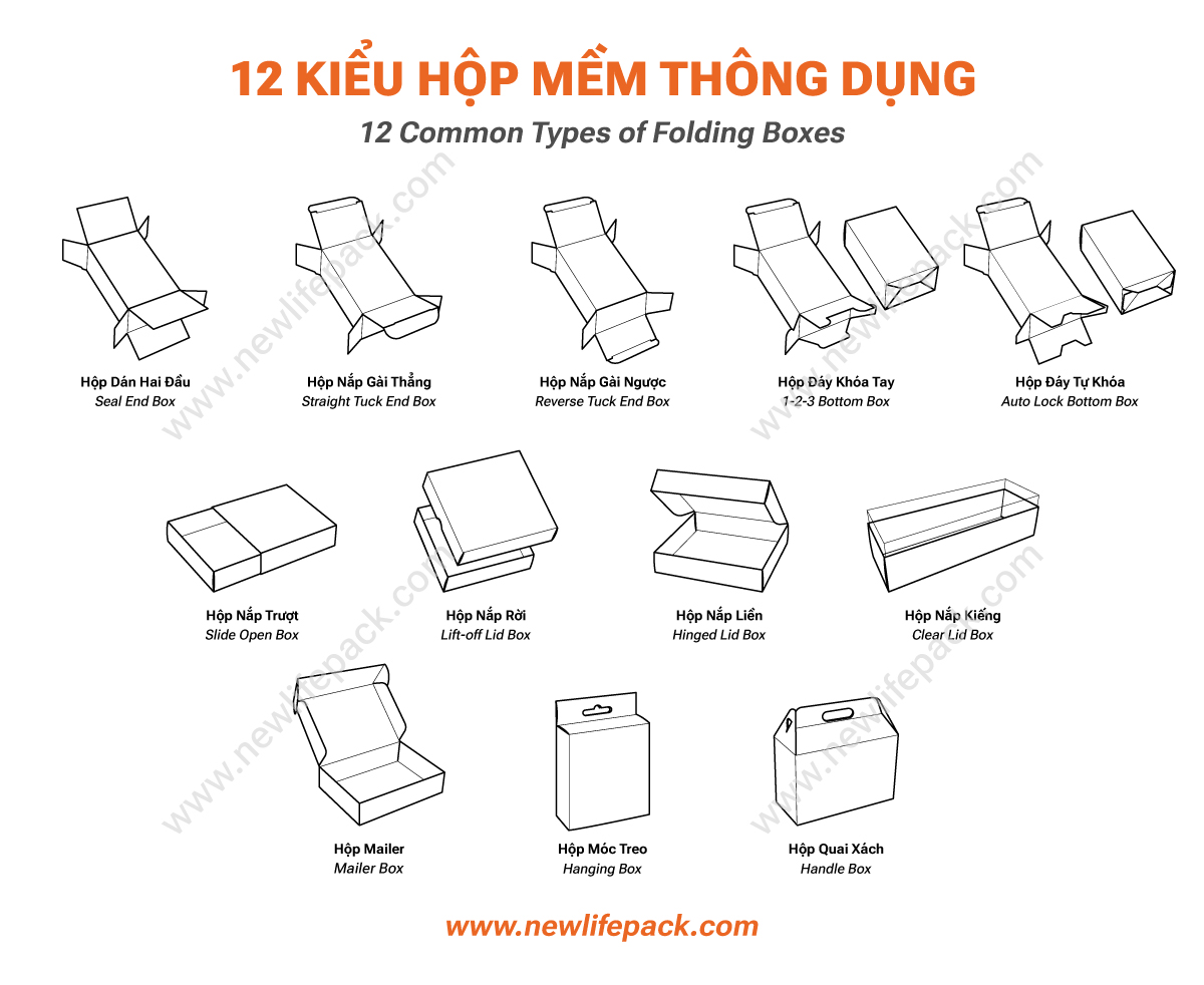 Tổng Hợp Top 12+ Kiểu Dáng Hộp Mềm Thông Dụng (Việt/ Anh)