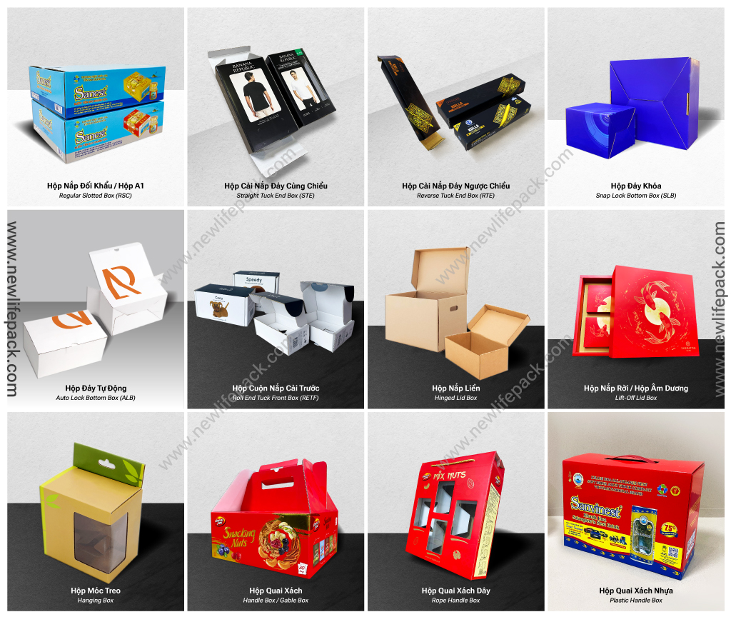 12 Common Types of Corrugated Boxes (English/ Vietnamese)