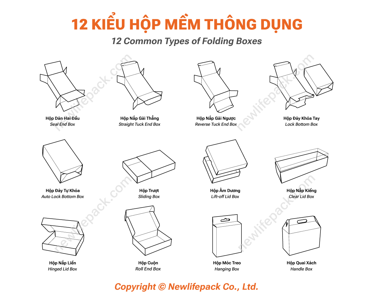 12 Common Types of Folding Boxes (English / Vietnamese)