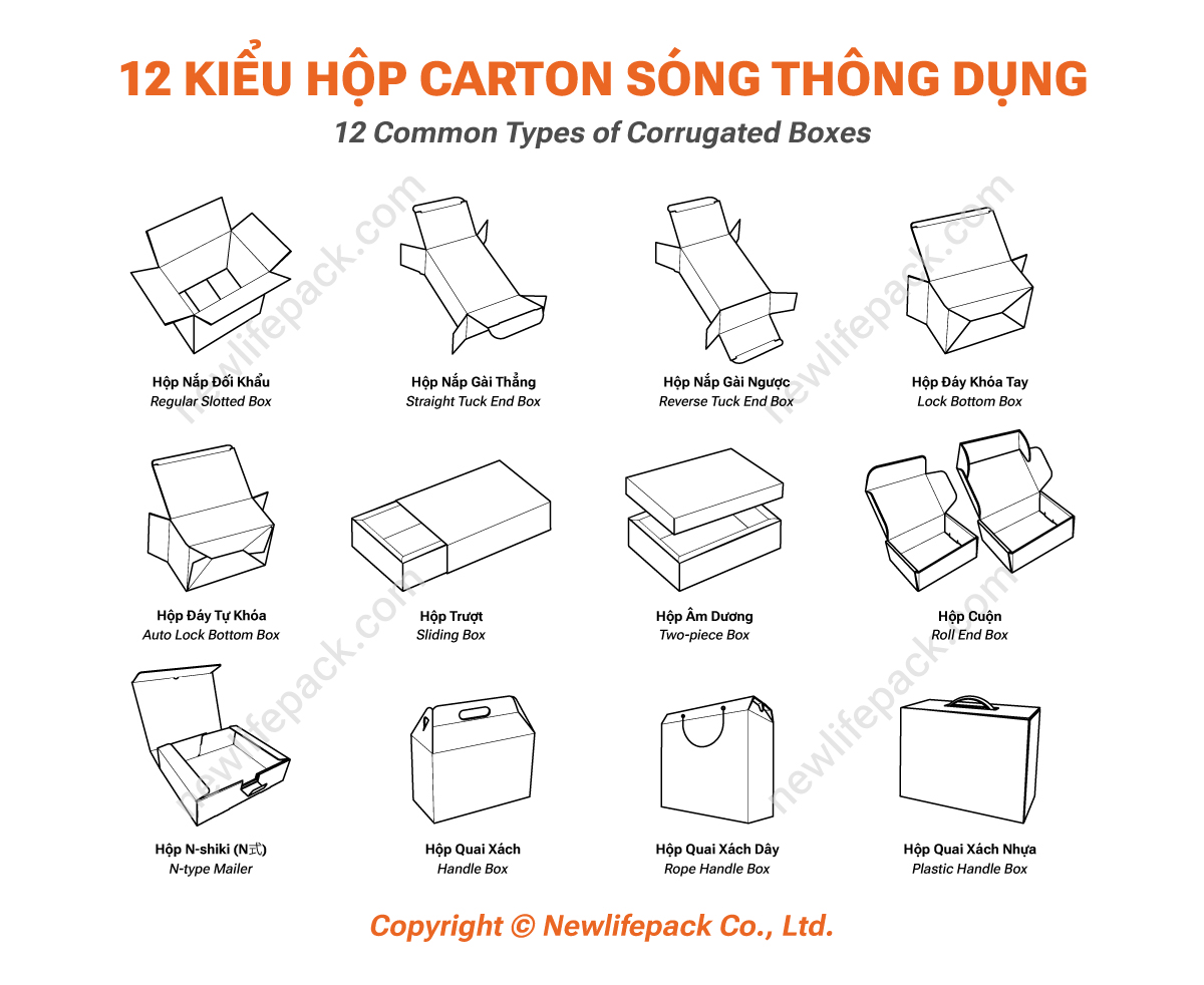 12 Common Types of Corrugated Boxes (English/ Vietnamese)