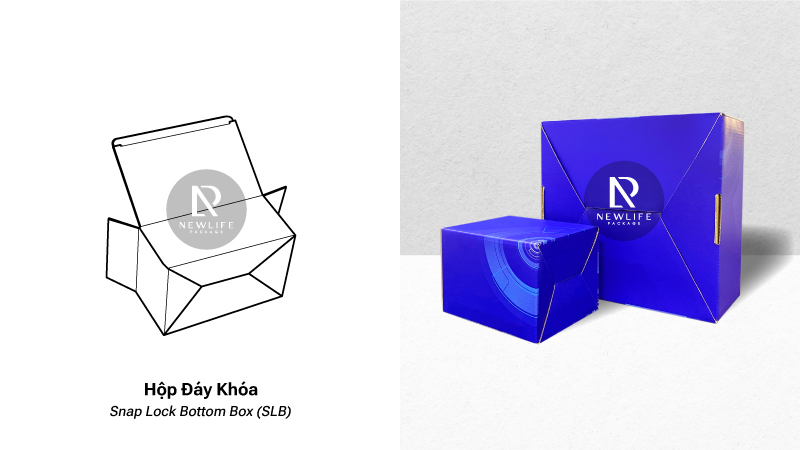 12 Common Types of Corrugated Boxes (English/ Vietnamese)