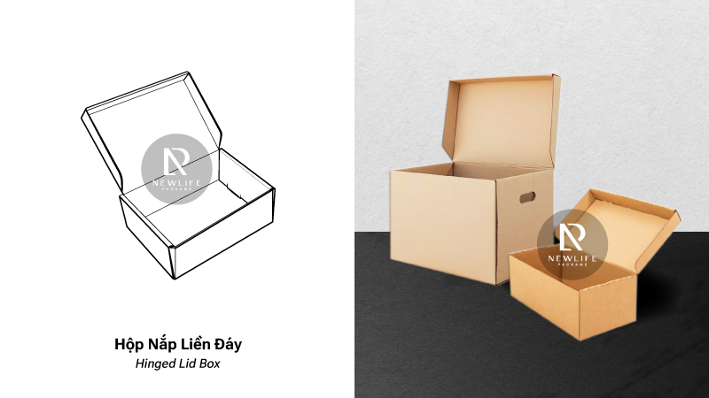 12 Common Types of Corrugated Boxes (English/ Vietnamese)