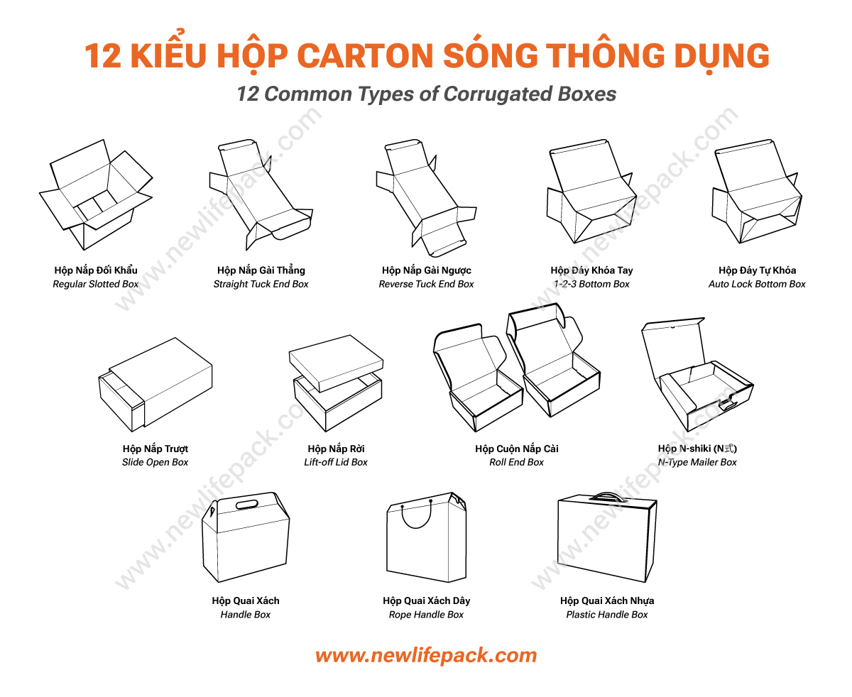Tổng Hợp Top 12+ Kiểu Dáng Hộp Carton Thông Dụng (Việt/ Anh)