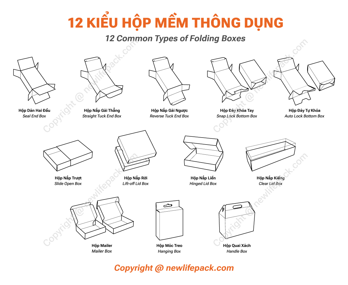 Tổng Hợp Top 12+ Kiểu Dáng Hộp Mềm Thông Dụng (Việt/ Anh)