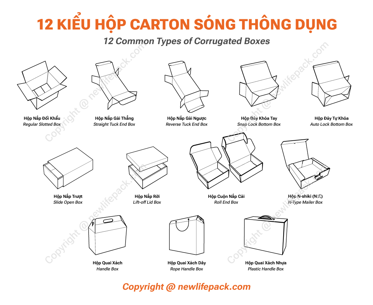 Tổng Hợp Top 12+ Kiểu Dáng Hộp Carton Thông Dụng (Việt/ Anh)