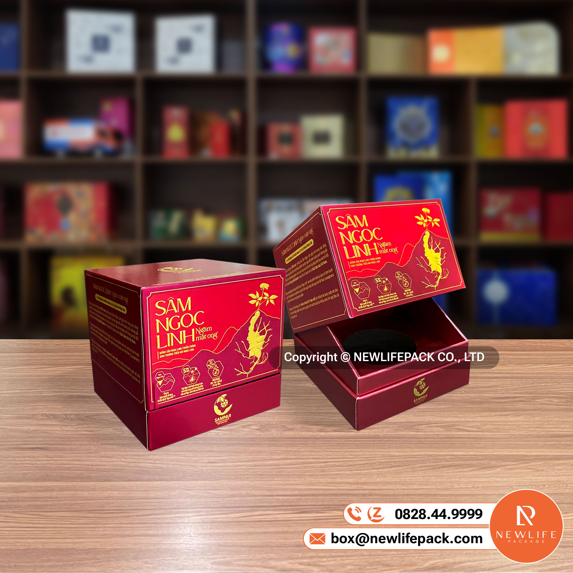 Tổng Hợp Top 12+ Kiểu Dáng Hộp Cứng Chipboard Thông Dụng (Việt/ Anh)