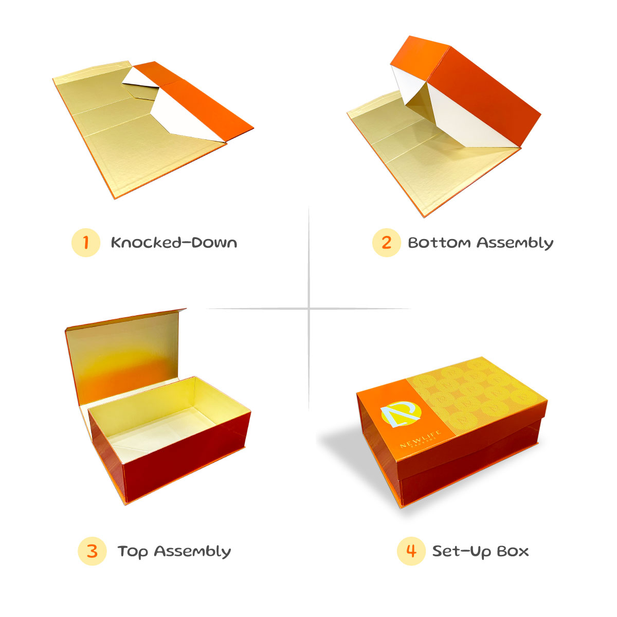 Comprehensive Guide: Top 12+ Common Rigid Box Types (EN/VI)