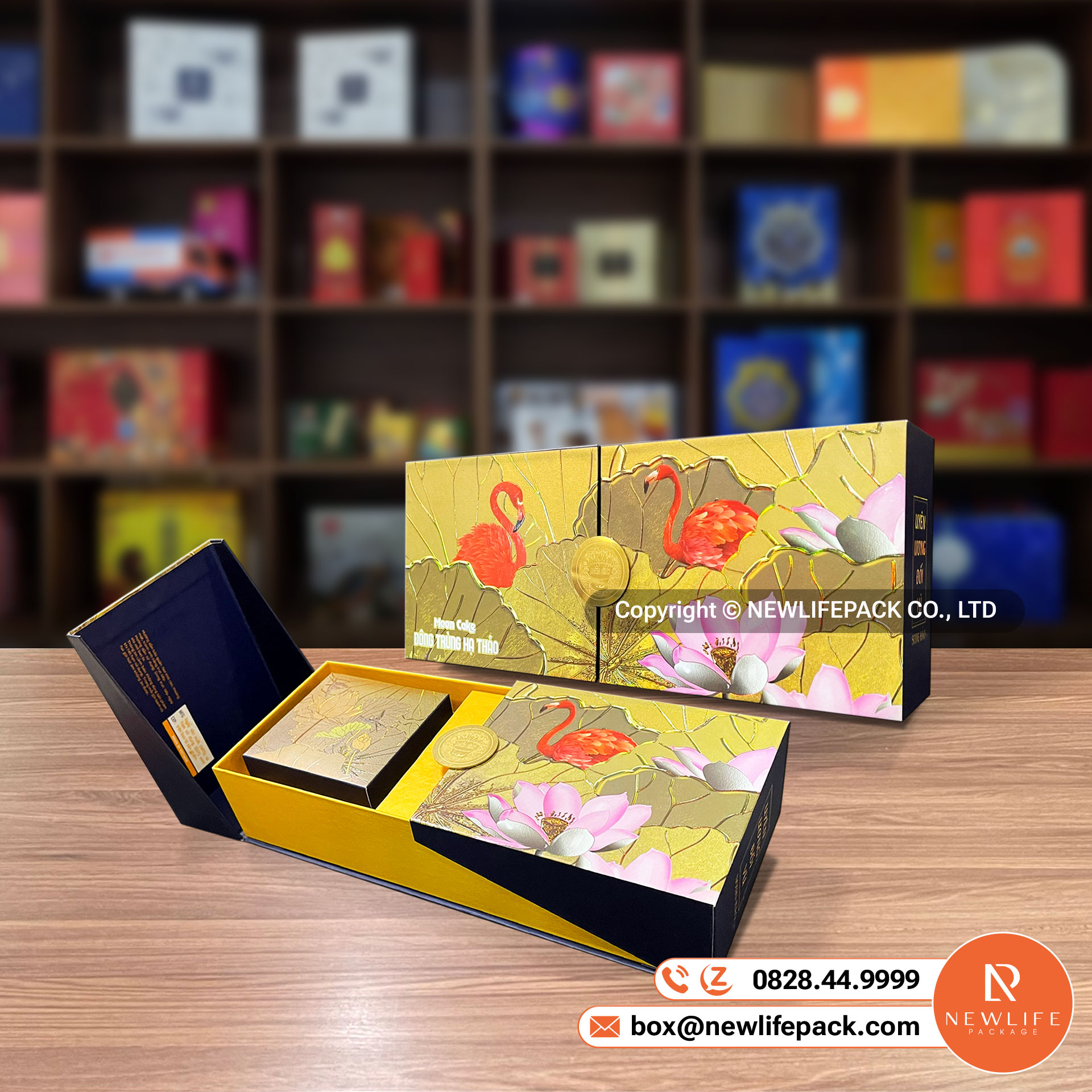 Comprehensive Guide: Top 12+ Common Rigid Box Types (EN/VI)