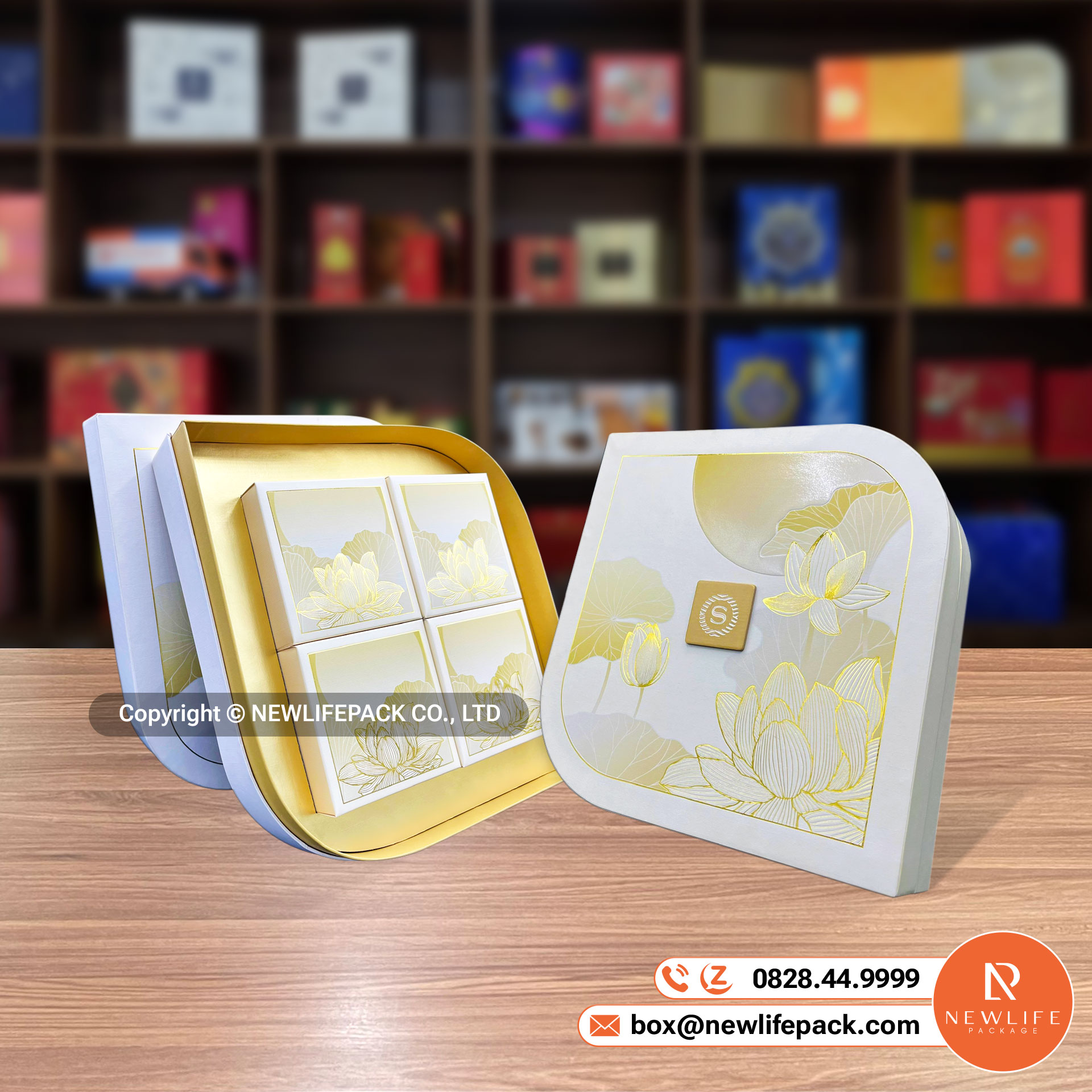 Tổng Hợp Top 12+ Kiểu Dáng Hộp Cứng Chipboard Thông Dụng (Việt/ Anh)