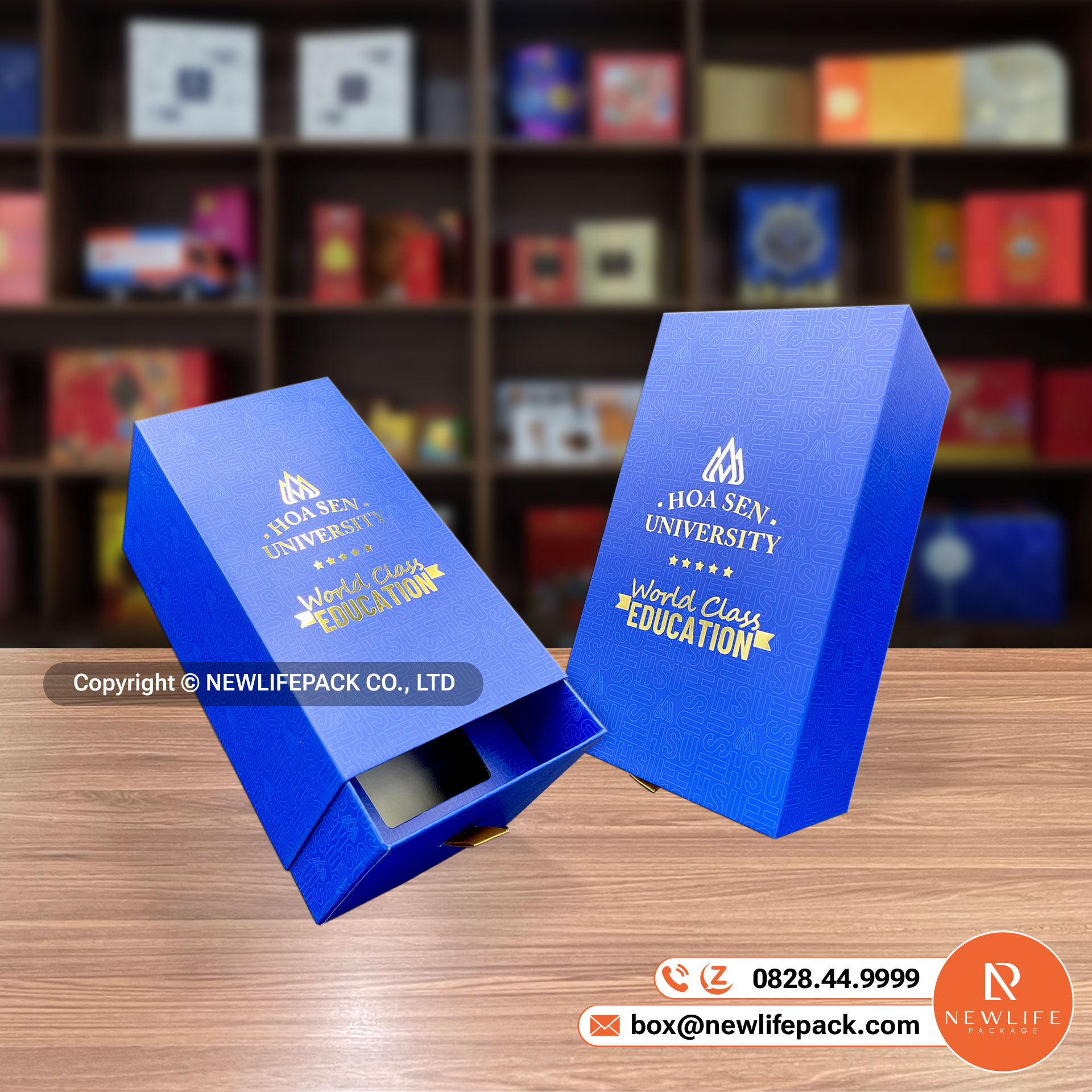 Tổng Hợp Top 12+ Kiểu Dáng Hộp Cứng Chipboard Thông Dụng (Việt/ Anh)